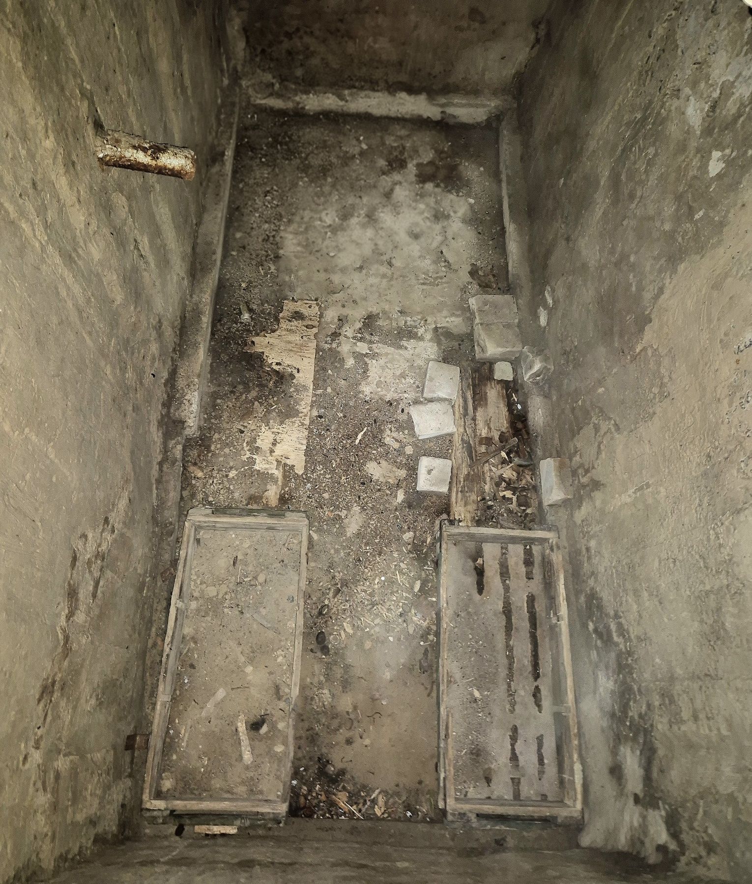 Image 15