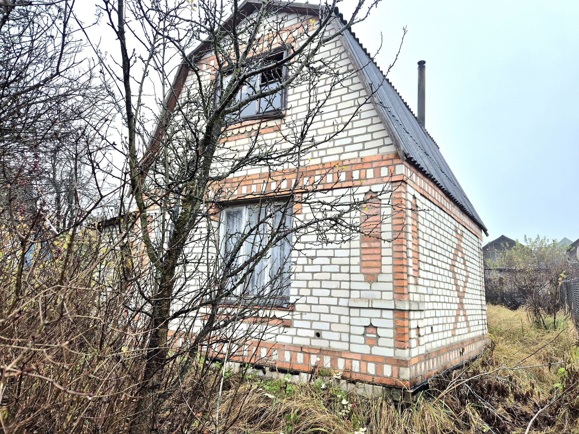 Image 4