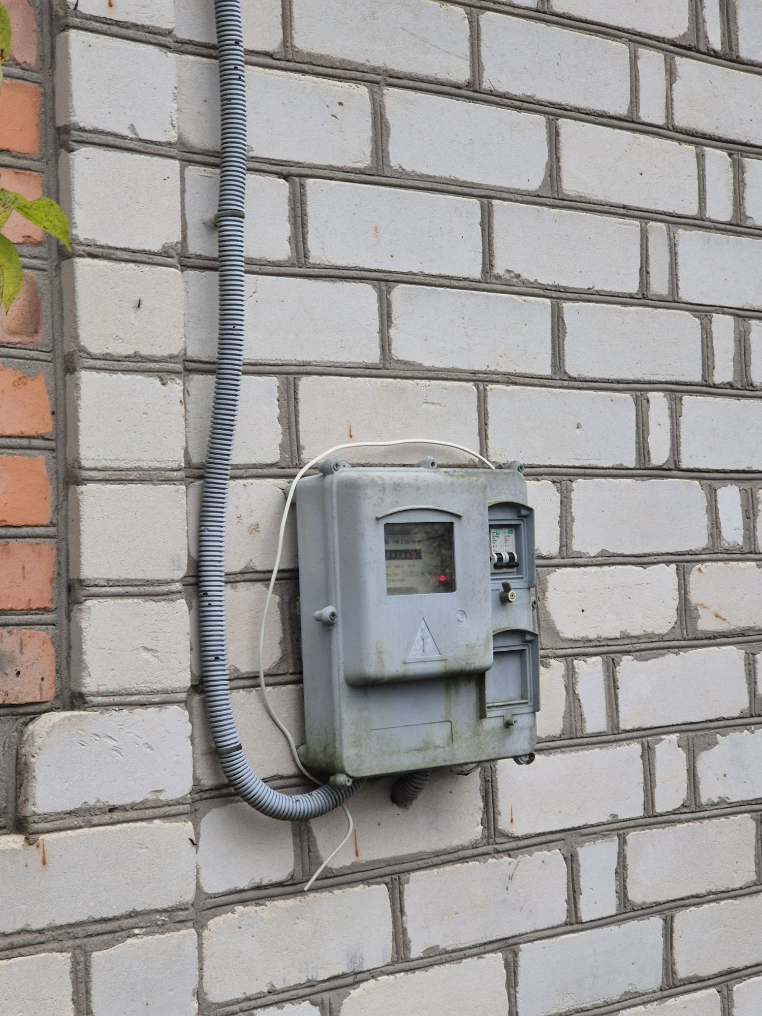 Image 10