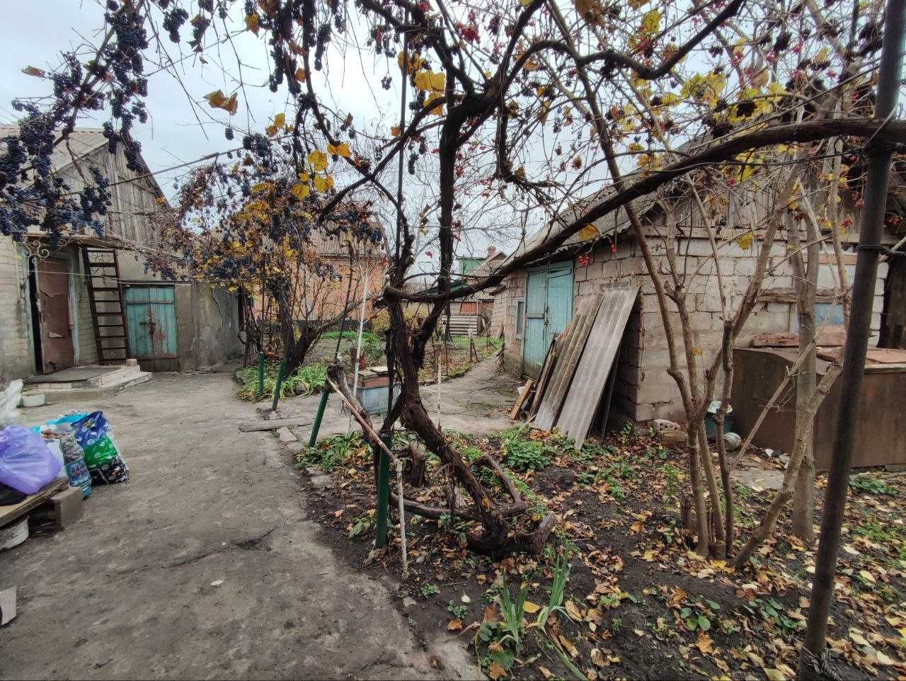 Image 10