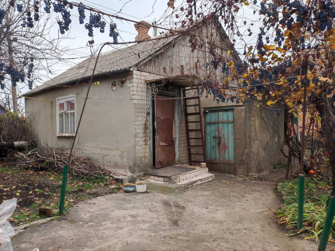 Image 8