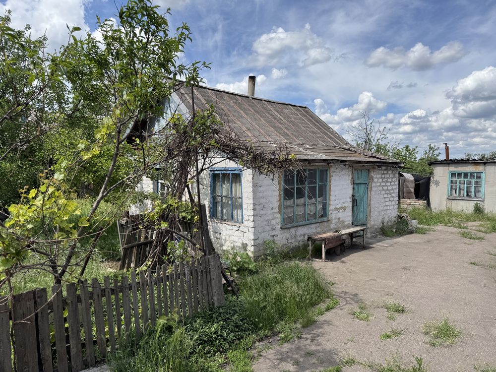 Image 14