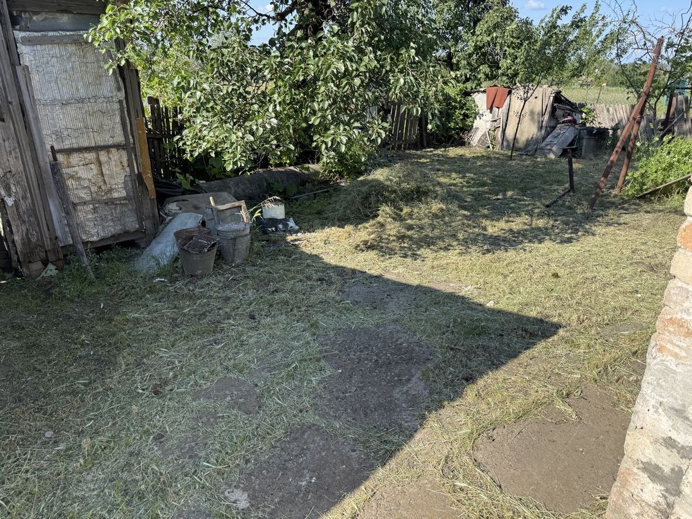 Image 12