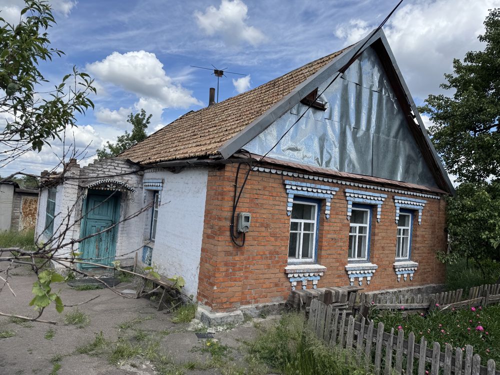 Image 13