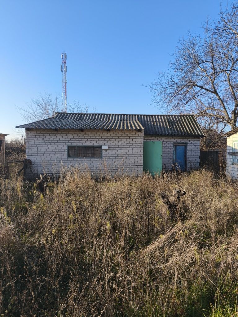 Image 14