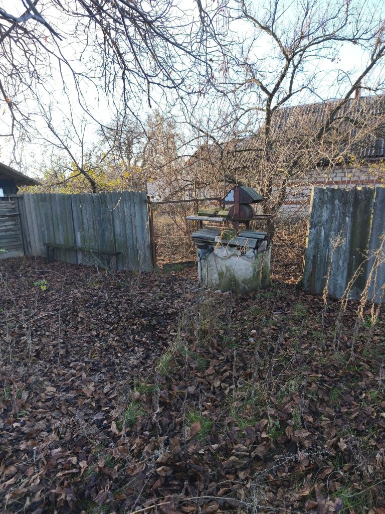Image 13