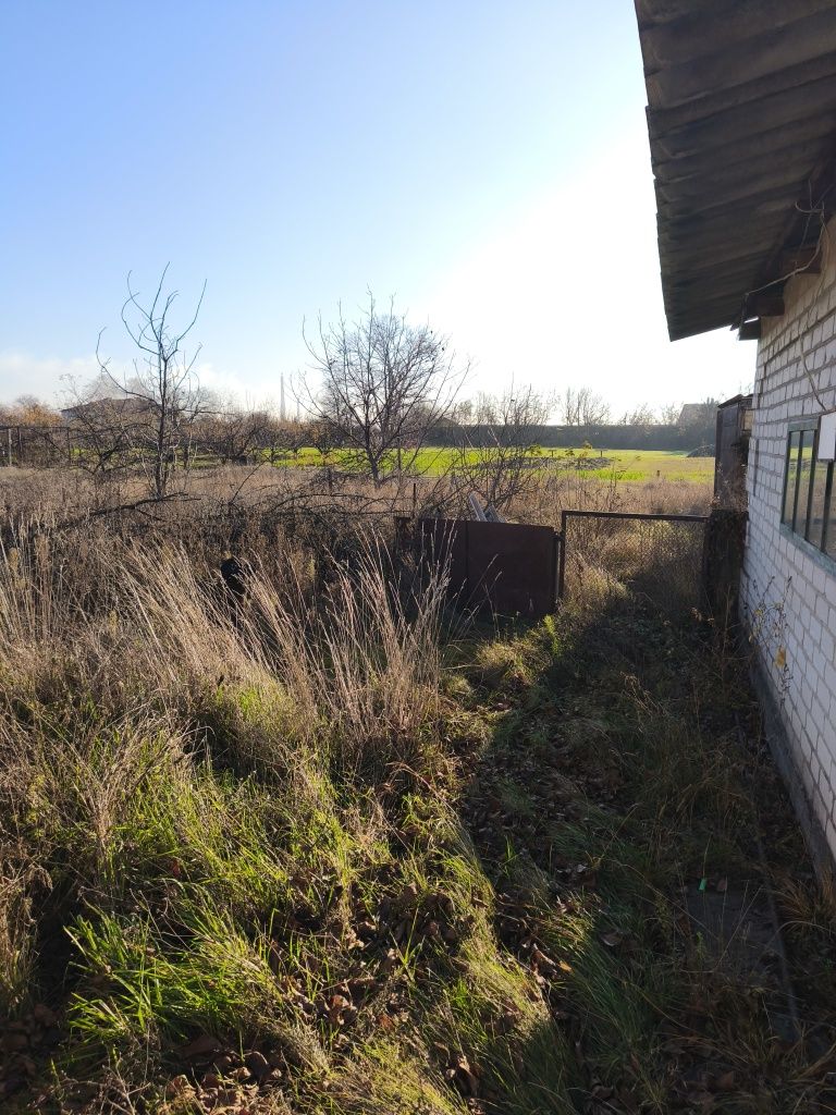 Image 15