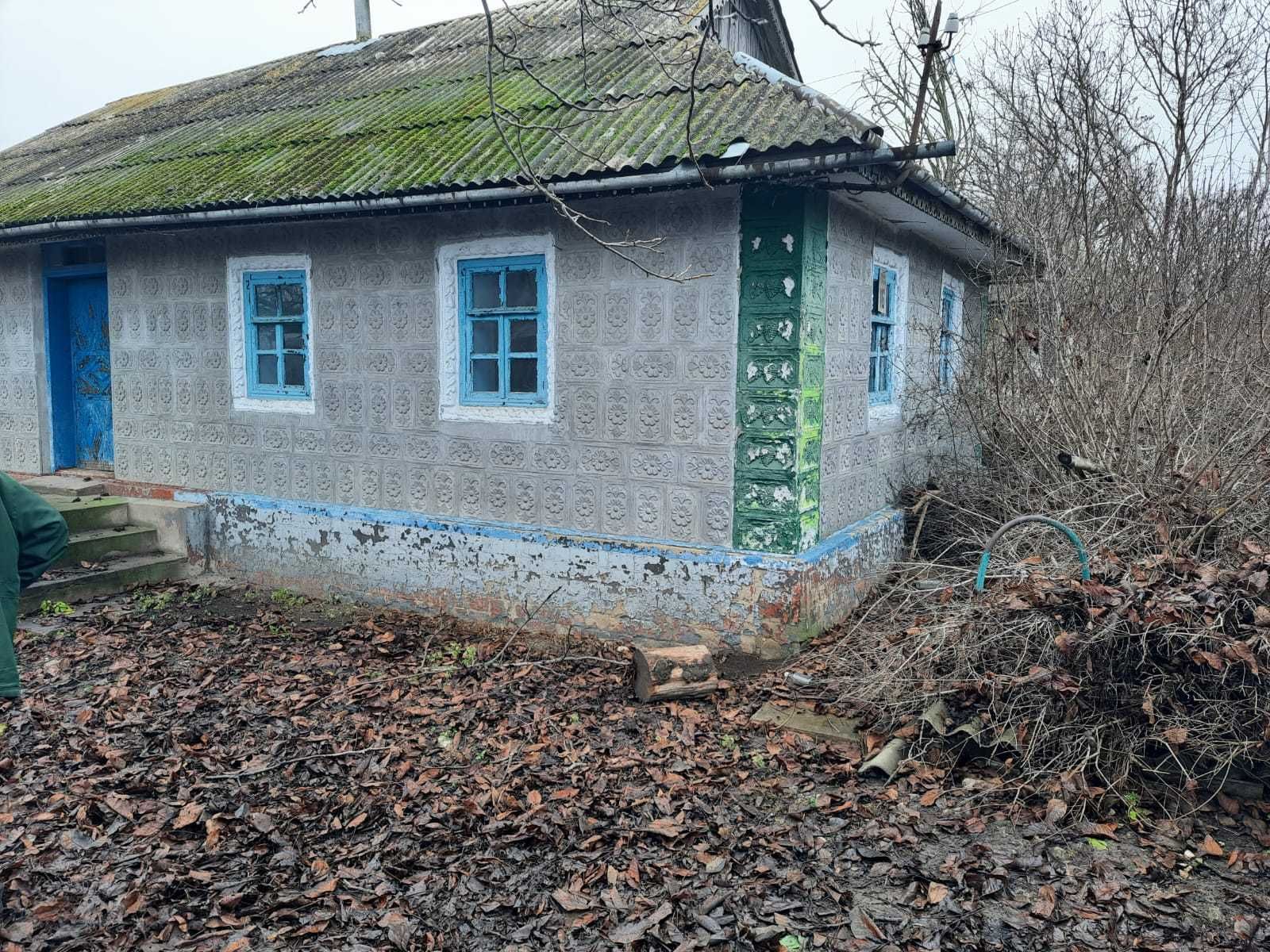 Image 11
