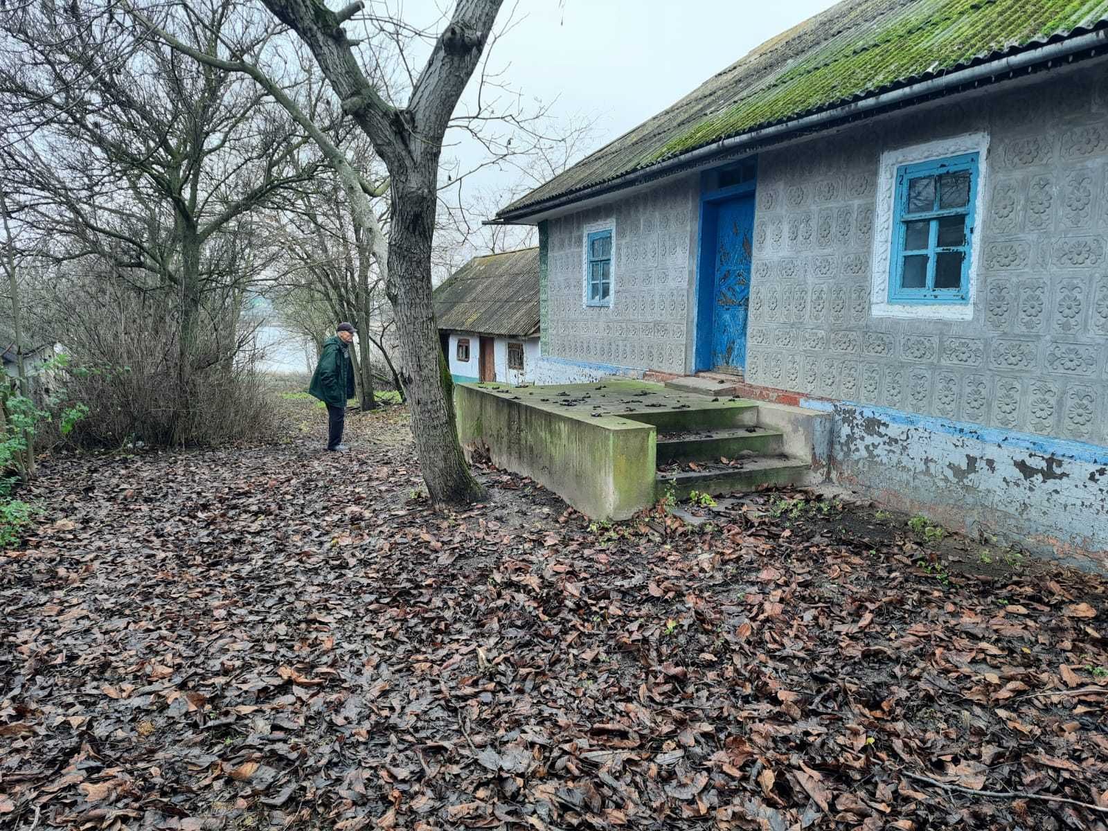 Image 12