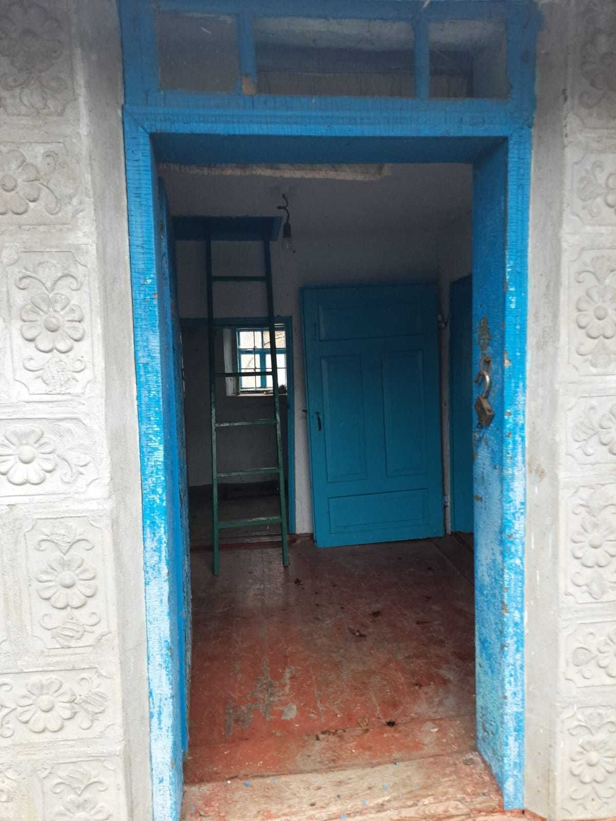 Image 15