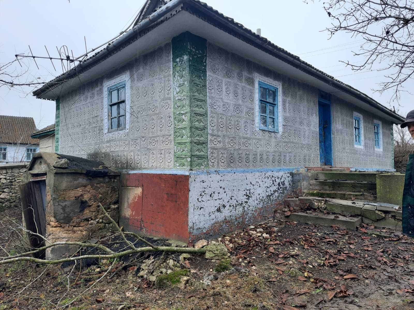 Image 13
