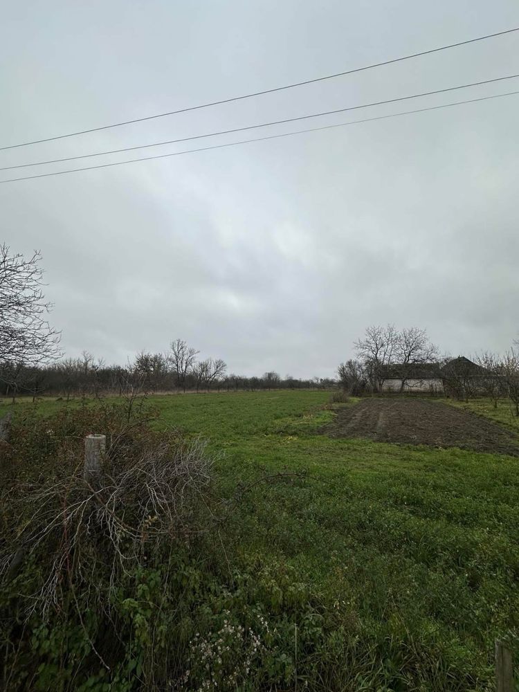 Image 18