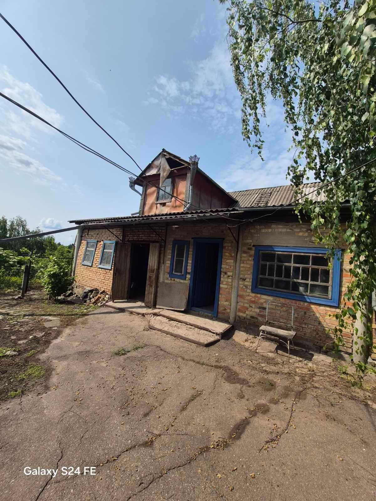 Image 11