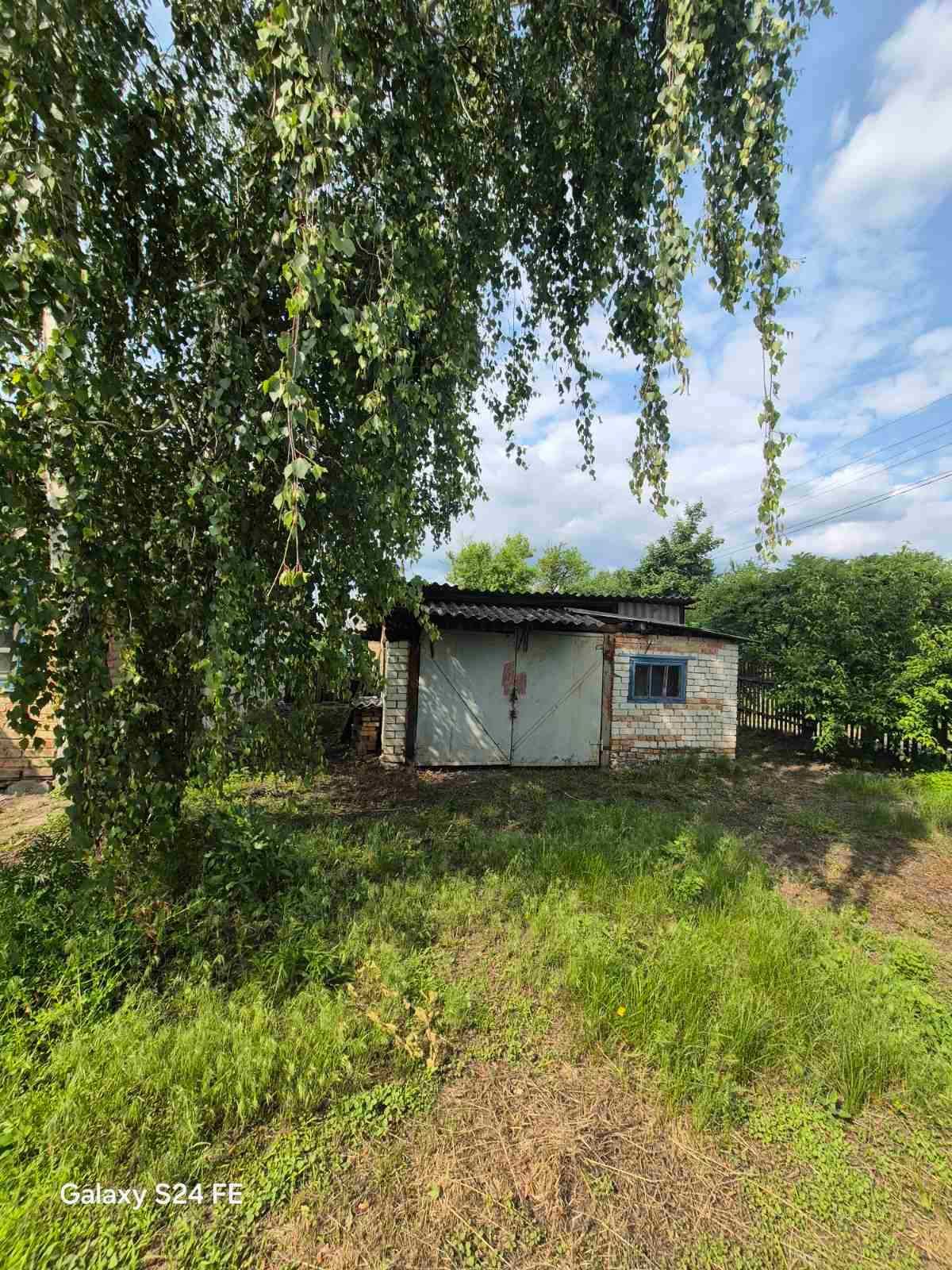 Image 10