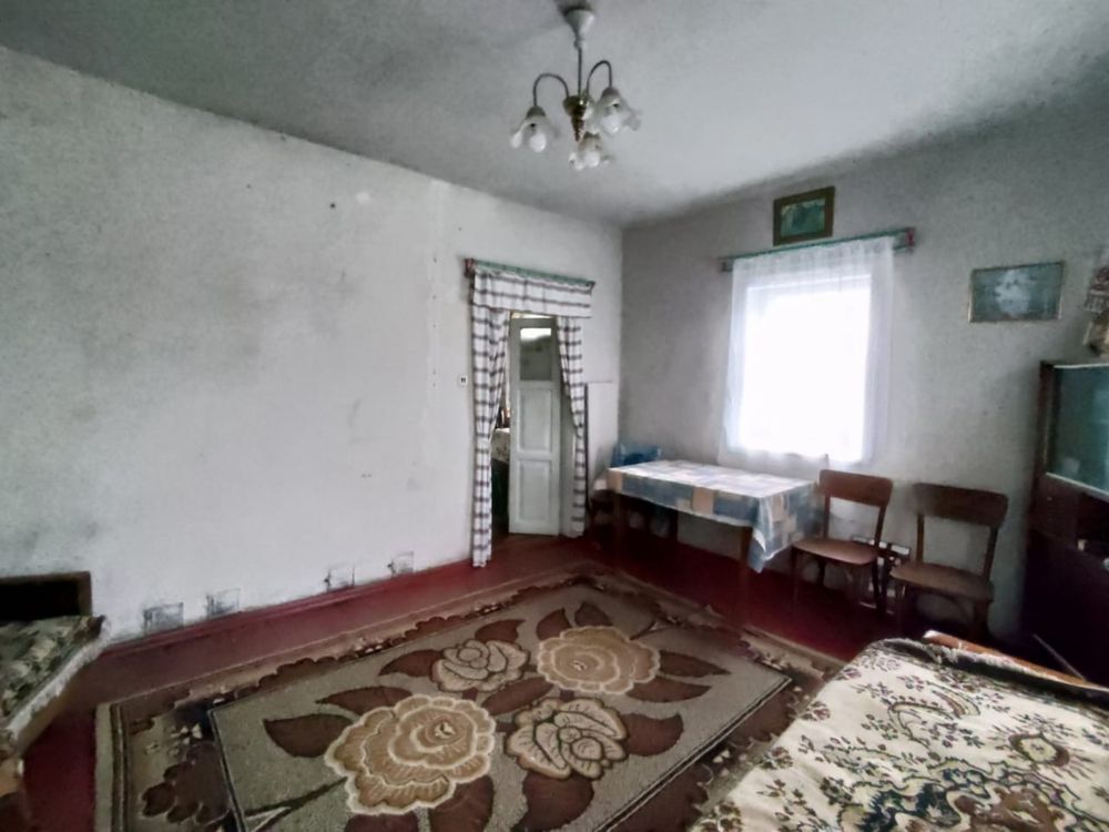 Image 15