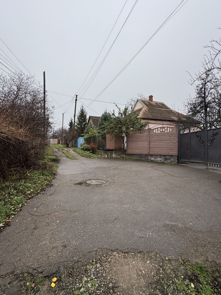 Image 13