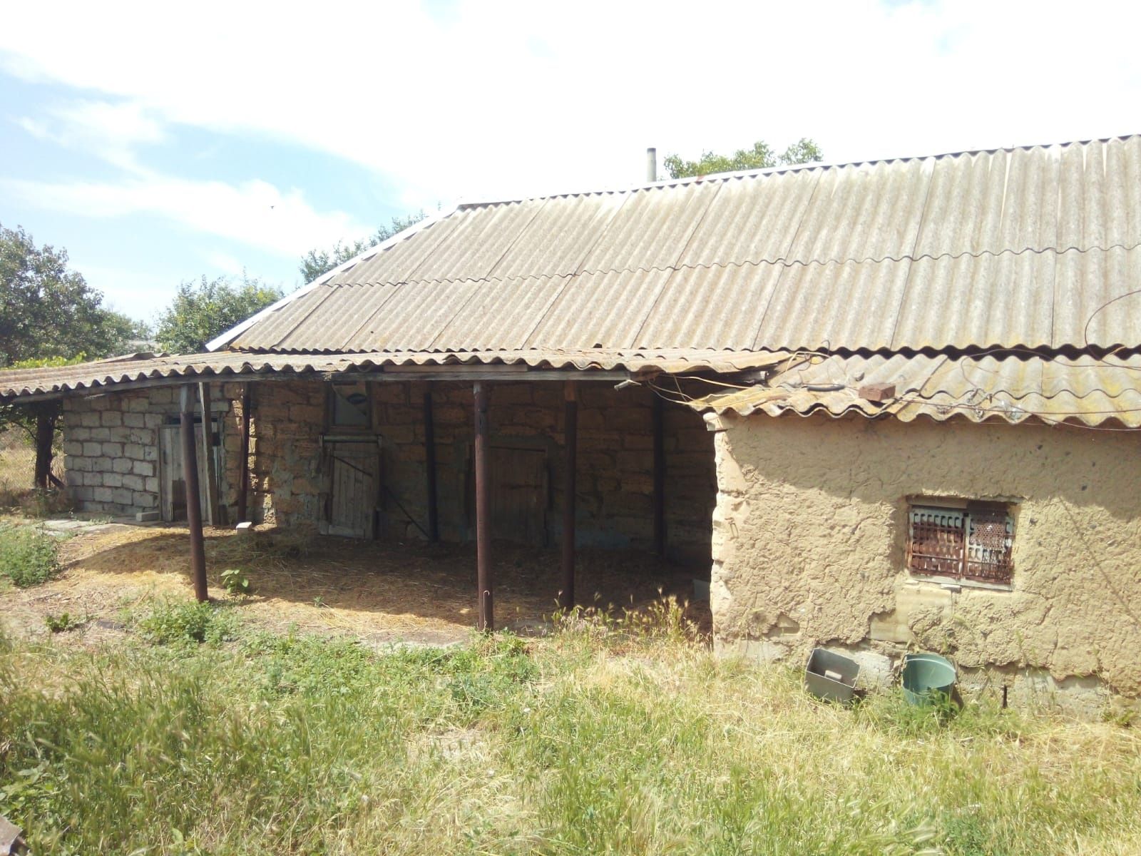 Image 7