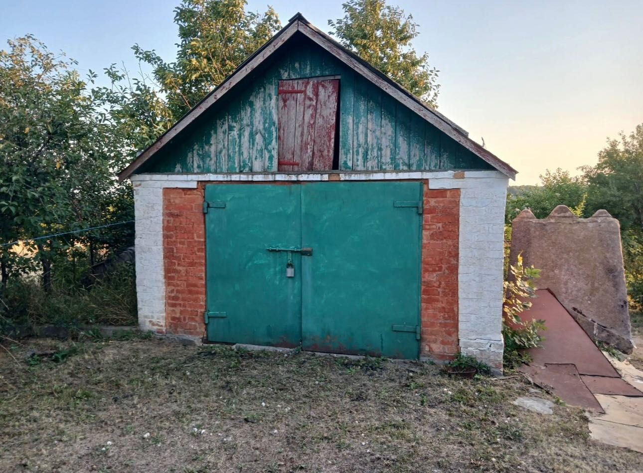 Image 7