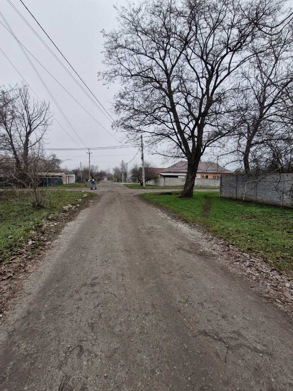 Image 13