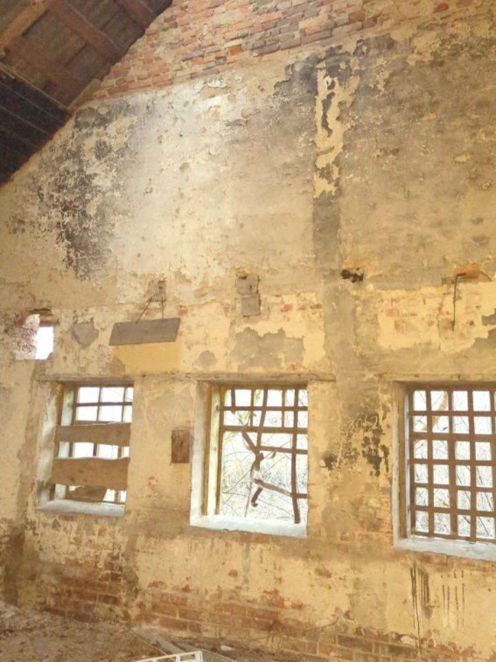 Image 10