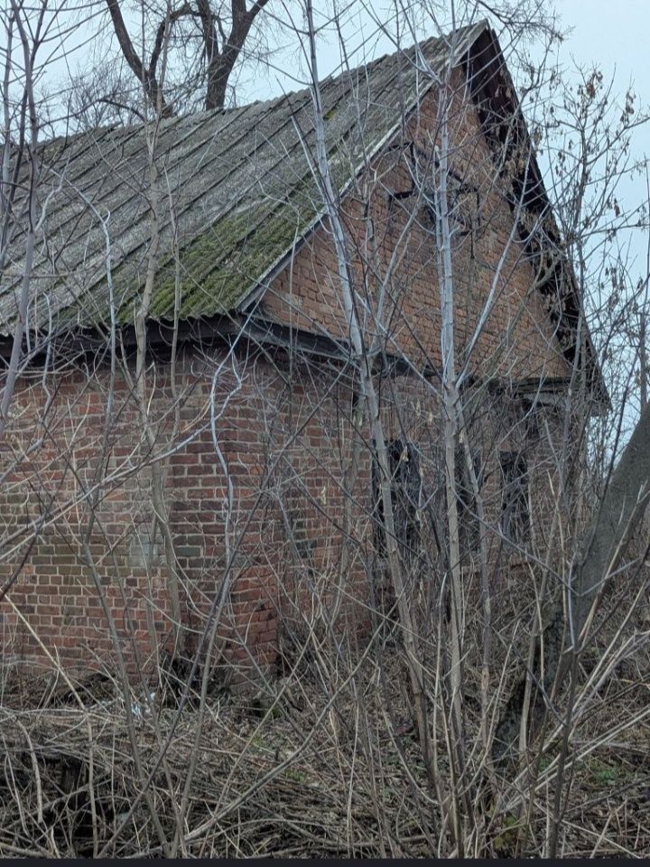 Image 17