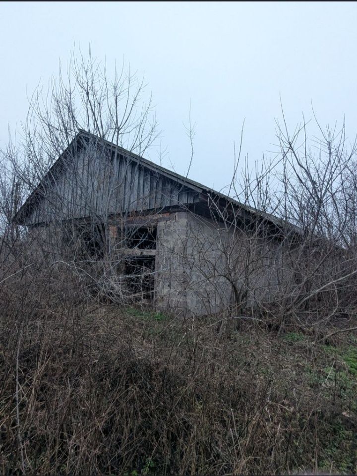 Image 18