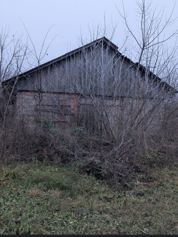 Image 15