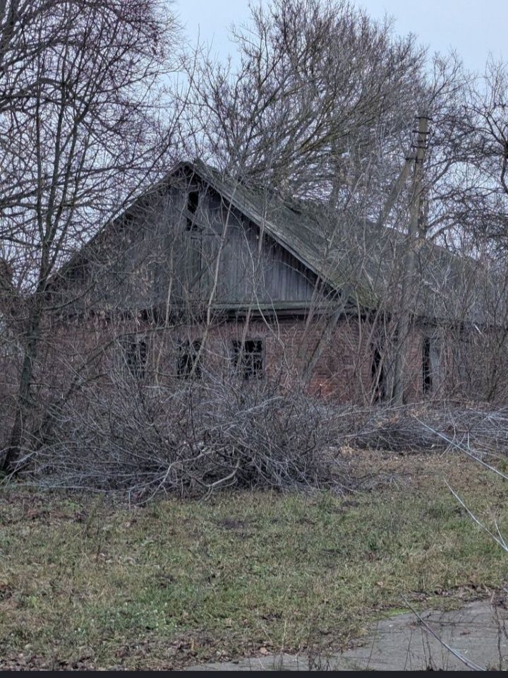 Image 16