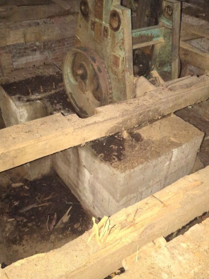 Image 11