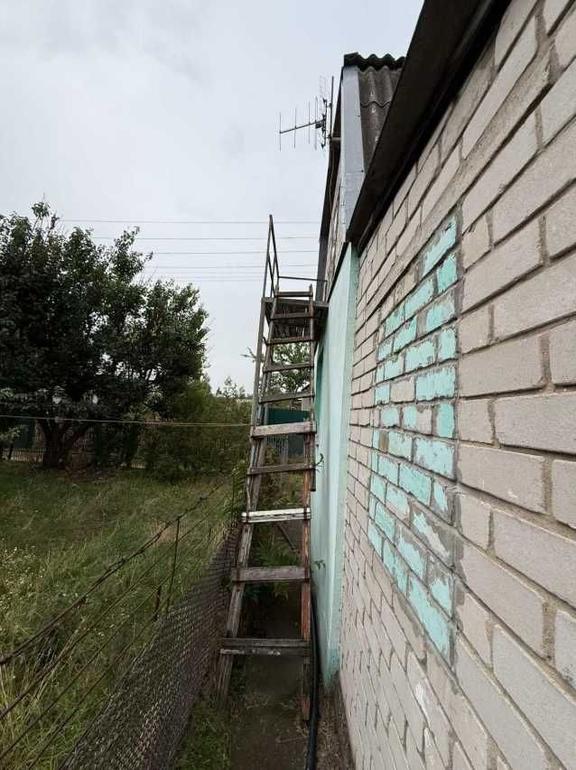 Image 11