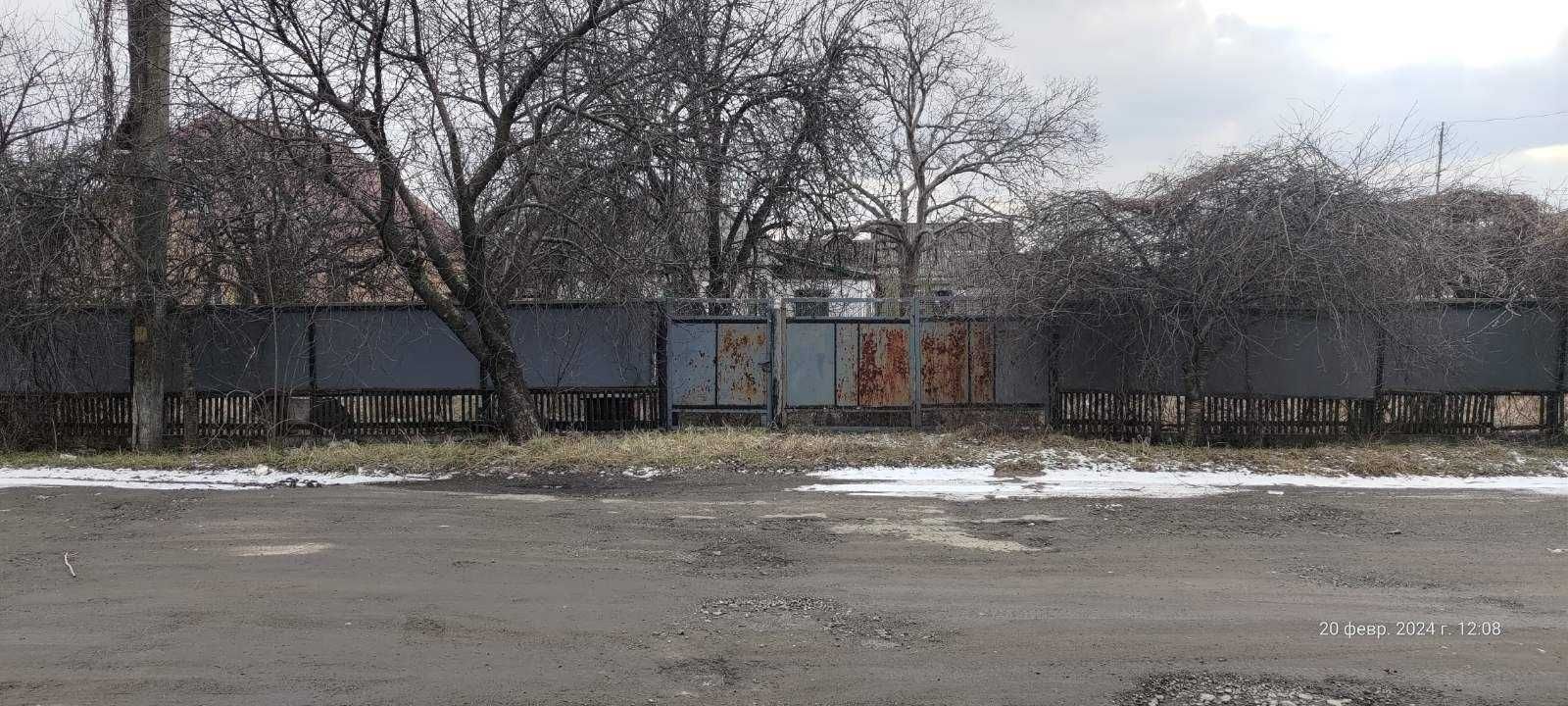 Image 8